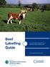 Beef Labelling. Guide. for individuals/organisations in Northern Ireland selling beef. BL3 (revised November 2016)