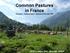 Common Pastures in France Diversity Pastoral laws impacts of the new CAP november 2015 Brussels- EFNCP