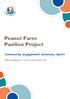 Peanut Farm Pavilion Project