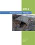 MIDAS CREEK PROJECT. FINAL DESIGN REPORT SKR Hydrotech 4/11/2012