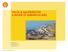 THE OIL & GAS PERSPECTIVE A DECADE OF LEARNING IN SHELL