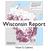 Wisconsin Report. Victor E. Cabrera