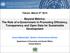 Beyond Metrics: The Role of e-government in Promoting Efficiency, Transparency and Open Data for Sustainable Development