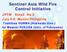 Sentinel Asia Wild Fire Control Initiative