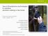 Use of Smartphone technologies to facilitate decision making in the forest