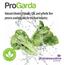 ProGarda. Natural chlorine, chlorate, QAC and sythetic free process washing aids for the food industry