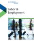 Labor & Employment. Practice Overview
