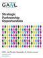 Strategic Partnership Opportunities