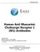 Human Anti-Muscarinic Cholinergic Receptor 1 (M1)-Antibodies