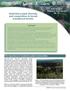 Understory plant diversity and composition in boreal mixedwood forests