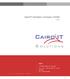 CairoIT Solutions Company Profile