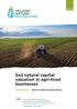 Soil natural capital valuation in agri-food businesses