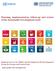 Planning, implementation, follow-up and review of the Sustainable Development Goals