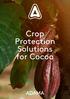 Crop Protection Solutions for Cocoa