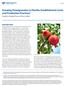 Growing Pomegranates in Florida: Establishment Costs and Production Practices 1