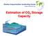 Estimation of CO 2 Storage Capacity