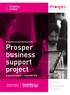 Evaluation of, and learning from, Prosper business support project. Executive Summary September N. Henry K. Broughton D.