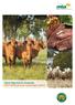 Meat Standards Australia annual outcomes report