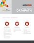 DATAPATH CASE STUDY EXECUTIVE SUMMARY THE RESULT THE SOLUTION THE CHALLENGE