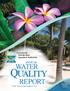 Presented By Florida Keys Aqueduct Authority. annual WATER. Quality. REPORT Water Testing Performed in 2016 PWS ID#: ,