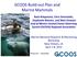 GCOOS Build-out Plan and Marine Mammals