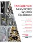 The Experts in Gas Delivery Systems Excellence