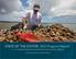 STATE OF THE OYSTER: 2015 Progress Report on the OYSTER RESTORATION AND PROTECTION PLAN FOR NORTH CAROLINA