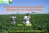 Reflectance-based Nitrogen Fertilizer Management for Irrigated Cotton