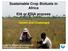 Sustainable Crop Biofuels in Africa EIA or ESIA process