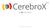 Product CerebroX.io All Rights Reserved