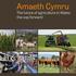 Amaeth Cymru The future of agriculture in Wales: the way forward