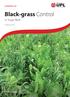 uk.uplonline.com Black-grass Control in Sugar Beet 26 January 2016 Made in Britain