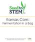 Kansas Corn: Fermentation in a Bag