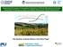Assessing the Impact of Increased Cultivation of Woody Biomass for Energy Generation Purposes on Water and Matter Balances in Rural Catchments