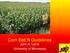 Corn Belt N Guidelines John A. Lamb University of Minnesota
