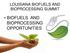 LOUISIANA BIOFUELS AND BIOPROCESSING SUMMIT BIOFUELS AND BIOPROCESSING OPPORTUNITIES