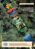 ITTO GUIDELINES ON THE CONSERVATION OF BIOLOGICAL DIVERSITY IN TROPICAL PRODUCTION FORESTS