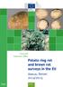 Food and Veterinary Office. Potato ring rot and brown rot surveys in the EU. Annual Report 2014/2015 FVO. Health and Food Safety