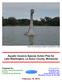 Aquatic Invasive Species Action Plan for Lake Washington, Le Sueur County, Minnesota