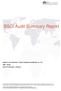 BSCI Audit Summary Report