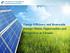 Energy Efficiency and Renewable Energy: Status, Opportunities and Perspectives in Ukraine