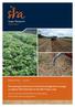 Developing an alternative herbicide management strategy to replace PSII herbicides in the Wet Tropics area