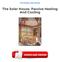 The Solar House: Passive Heating And Cooling PDF