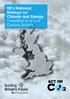UK s National Strategy for Climate and Energy: Transition to a Low Carbon Society