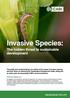 Invasive Species: The hidden threat to sustainable development