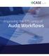 Improving the Efficiency of Audit Workflows