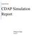 CDAP Simulation Report