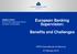 European Banking Supervision: Benefits and Challenges. FEPS International Conference 6 February 2015