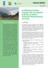 ISSUE BRIEF. Combating Climate Change and its Impacts: A Study of India's Financial Requirements and Gap. August