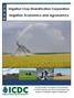 Irrigation Economics and Agronomics